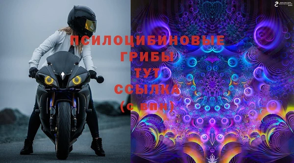 ешки Чегем