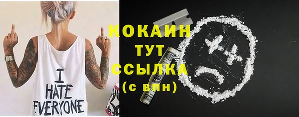 прущие грибы Шали