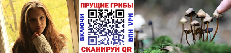 Псилоцибиновые грибы ЛСД  магазин продажи   МЕГА ONION  мориарти телеграм  Хасавюрт 