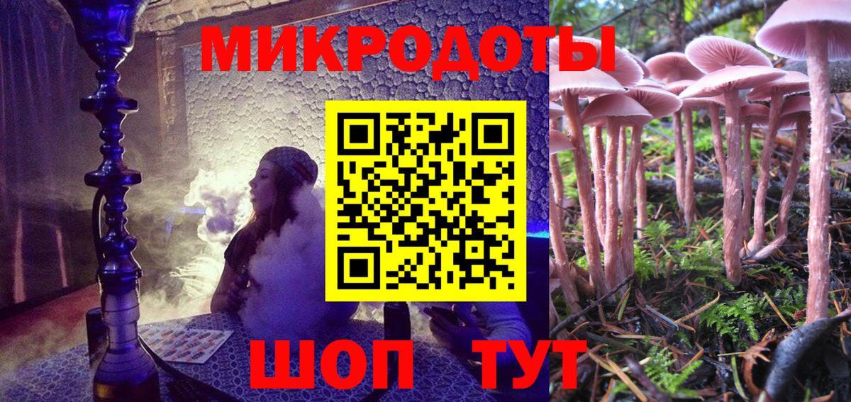 Галлюциногенные грибы GOLDEN TEACHER  Вход с VPN  что такое наркотик  Хасавюрт 