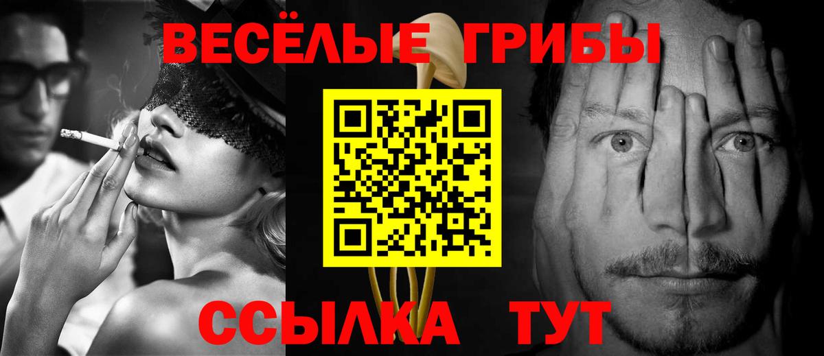 Галлюциногенные грибы ЛСД Хасавюрт